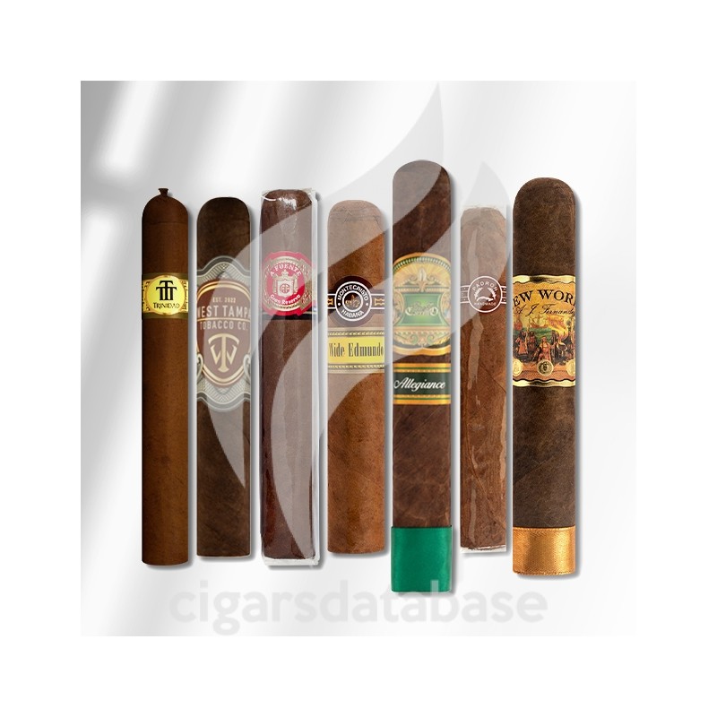 SAMPLER-T 2023 BEST OF CA 3 (SET)-Box-11319