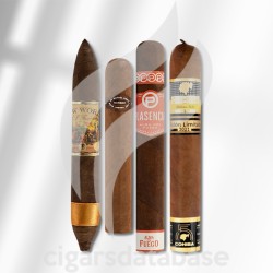 SAMPLER-T 2023 BEST OF CA 4 (SET)-Box-11320