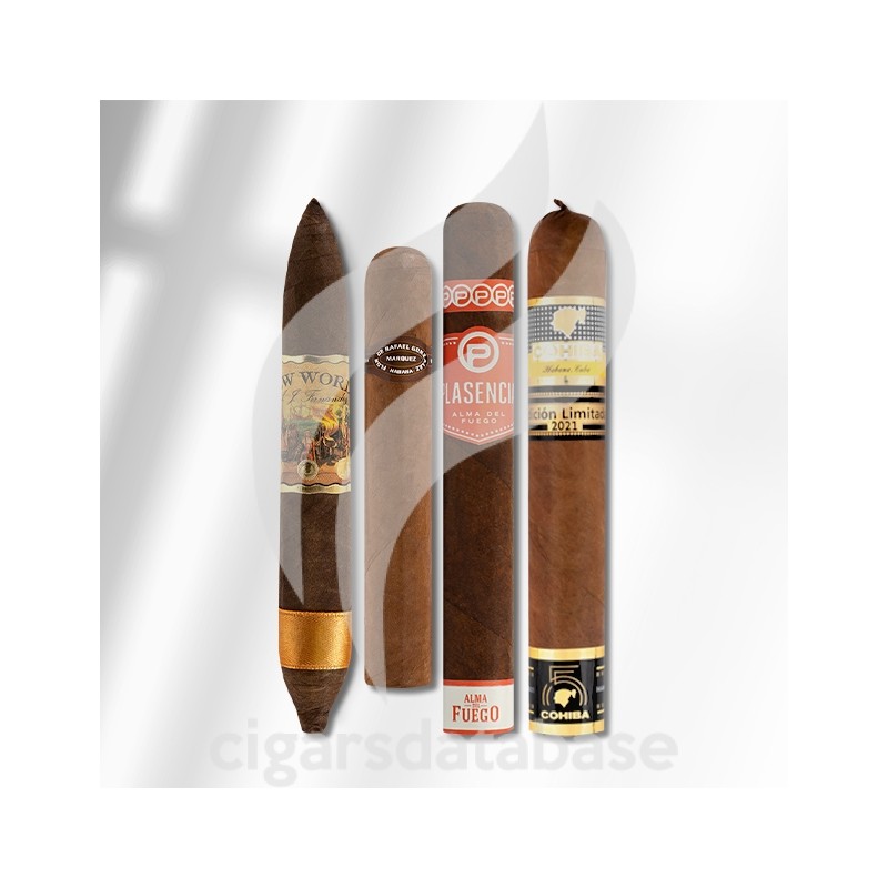 SAMPLER-T 2023 BEST OF CA 4 (SET)-Box-11320