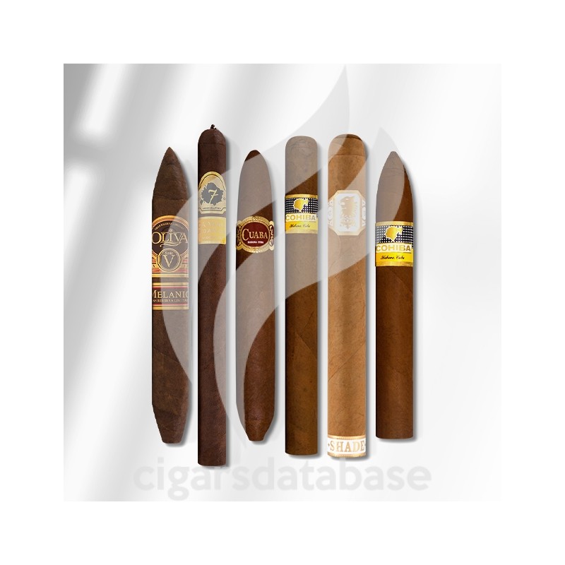 SAMPLER-T 2023 BEST OF CA 6 (SET)-Box-11322