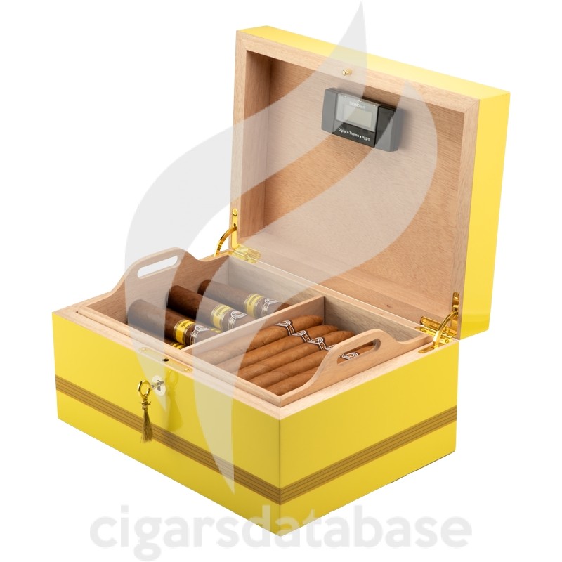 MONTECRISTO-MONTECRISTO GLOBAL BRAND WOODEN HUMIDOR 2024 (SET)-Box-11360