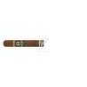 PLASENCIA-ALMA FUERTE - ROBUSTUS II-Stick-11418
