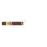 BOLIVAR-REGENTES - 2021-Stick-11435