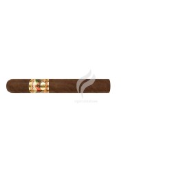 PARADISO-COLOSO-Stick-11441