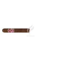 ALADINO-CAMEROON ROBUSTO-Stick-11532