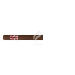 ALADINO-CAMEROON SUPER TORO-Stick-11533