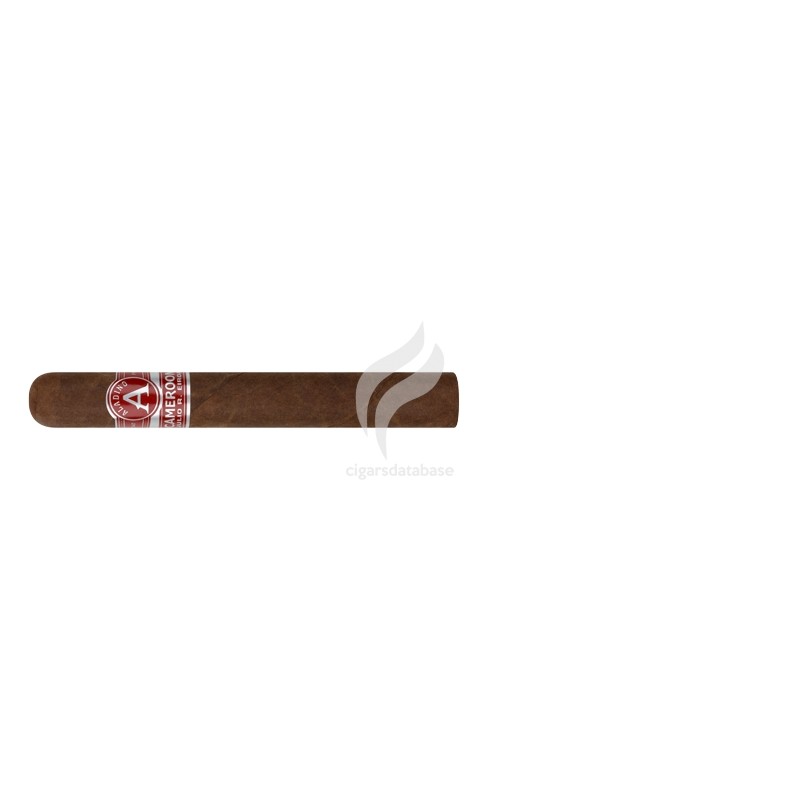 ALADINO-CAMEROON SUPER TORO-Stick-11533