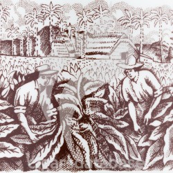 HOYO DE MONTERREY-EPICURE NO.2 SERIE SEVILLA JAR-Box-11549