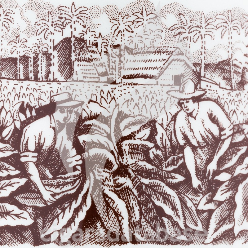 HOYO DE MONTERREY-EPICURE NO.2 SERIE SEVILLA JAR-Box-11549