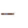 VILLIGER-1888 NICARAGUA - CORONITA-Stick-11620