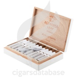AGANORSA LEAF-ANNIVERSARIO COROJO - GRAN ROBUSTO-Box-11725
