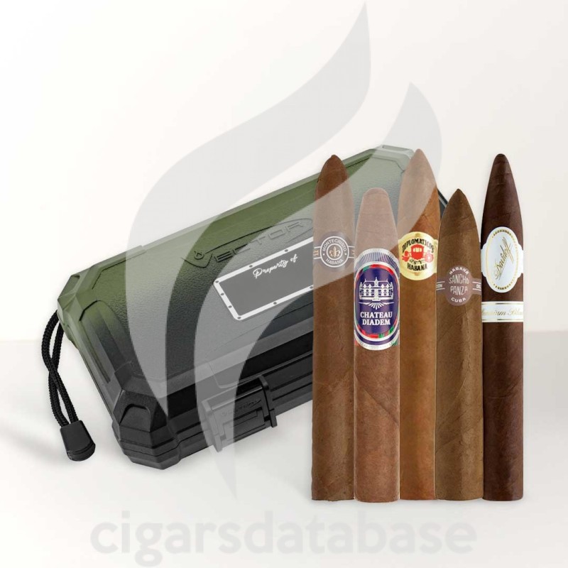 SAMPLER-T FIGURADO COLLECTION GREEN TRAVEL (SET)-Box-11740