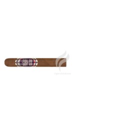 CHATEAU DIADEM-SPLENDOR - ROBUSTO EXTRA-Stick-11791