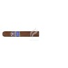 VILLIGER-1888 NICARAGUA - GORDO-Stick-11809