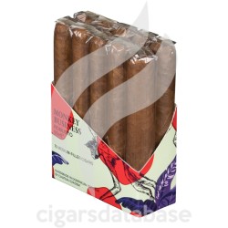 MONKEY BUSINESS-ROBUSTO-Box-11986