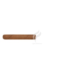 SELECTION DE ROBERT-ROBUSTO-Stick-11988