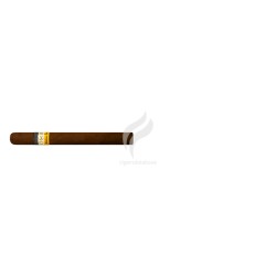COHIBA-EXQUISITOS-Stick-21
