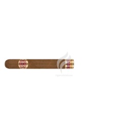 ROMEO y JULIETA-AMANTES - 2025-Stick-12116