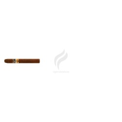 COHIBA-SHORT HUMIDOR - YEAR OF THE HORSE-Stick-12120