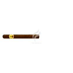 BOLIVAR-TUBOS NO.1-Stick-3