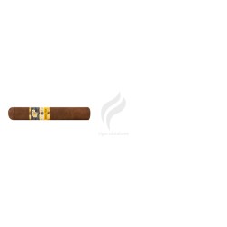 COHIBA-LINEA 1492 - SIGLO I-Stick-36