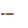 COHIBA-LINEA 1492 - SIGLO II-Stick-39