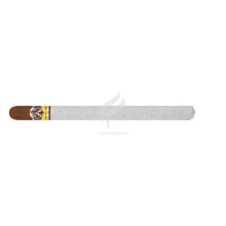 ALADINO-PATTON-Stick-12141