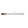 ALADINO-PATTON-Stick-12141