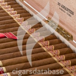 ROMEO y JULIETA-AMANTES - 2025-Stick-12147