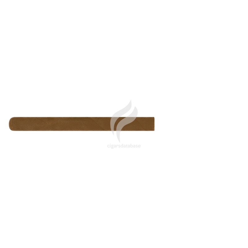 HOYO DE MONTERREY-LONSDALES 1950's - PRECASTRO-Stick-10604