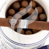 MONTECRISTO-NO.4 COLECCION VINTAGE 10 JAR-Stick-12166