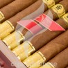 TRINIDAD-CORCEL - YEAR OF THE HORSE - 2026-Stick-12182