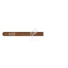 PARTAGAS-170 PARTAGAS XII ENCUENTRO DE AMIGOS EN ITALIA - 2017-Stick-10660