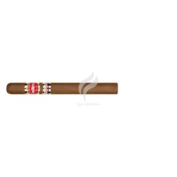 SAN MARTÍN-CHURCHILL-Stick-12198
