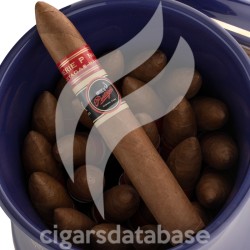 PARTAGAS-SERIE P NO.2 JAR - ENCUENTRO DE AMIGOS DE PARTAGAS 2025-Stick-12201