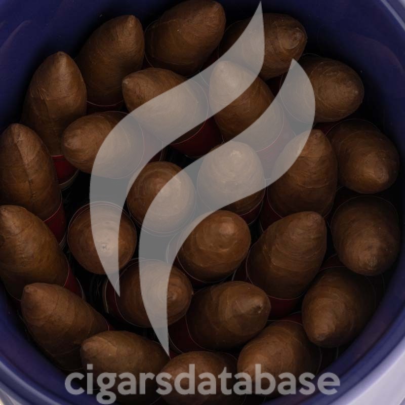 PARTAGAS-SERIE P NO.2 JAR - ENCUENTRO DE AMIGOS DE PARTAGAS 2025-Stick-12201