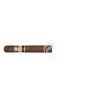 COHIBA-MADURO 5 - GENIOS-Stick-22