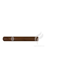 RAFAEL GONZALEZ-PETIT CORONAS-Stick-220