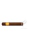 EL REY DEL MUNDO-CHOIX SUPREME-Stick-225