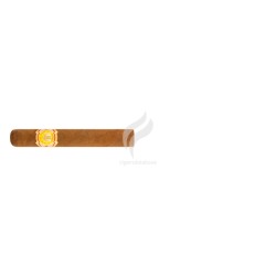 EL REY DEL MUNDO-CHOIX SUPREME-Stick-225