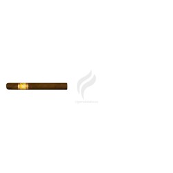 EL REY DEL MUNDO-DEMI TASSE-Stick-226