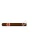 ROMEO y JULIETA-EXHIBICION NO.3-Stick-240