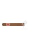 ROMEO y JULIETA-MILLE FLEURS-Stick-245