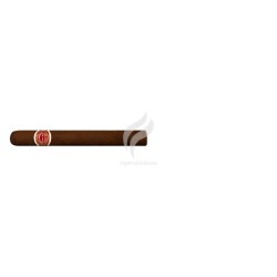 ROMEO y JULIETA-ROMEO NO.1-Accessory-254