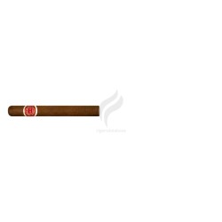 ROMEO y JULIETA-SPORTS LARGOS-Stick-265