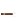 ROMEO y JULIETA-SPORTS LARGOS-Stick-265