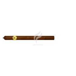 TRINIDAD-FUNDADORES-Stick-284
