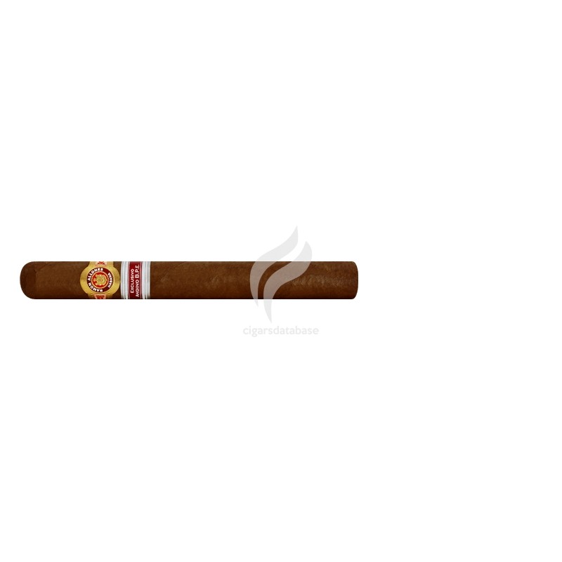 RAMON ALLONES-GLADIATOR - 2010 - ANDINO-Stick-392