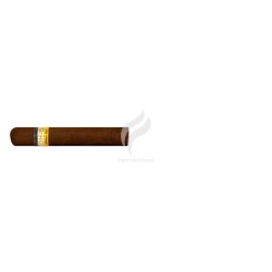 COHIBA-ROBUSTOS-Stick-31