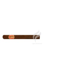 SAINT LUIS REY-CORONAS-Stick-502